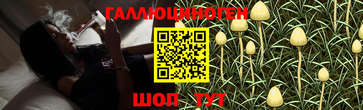 Нягань  Псилоцибиновые грибы Psilocybine cubensis  Вход с VPN 